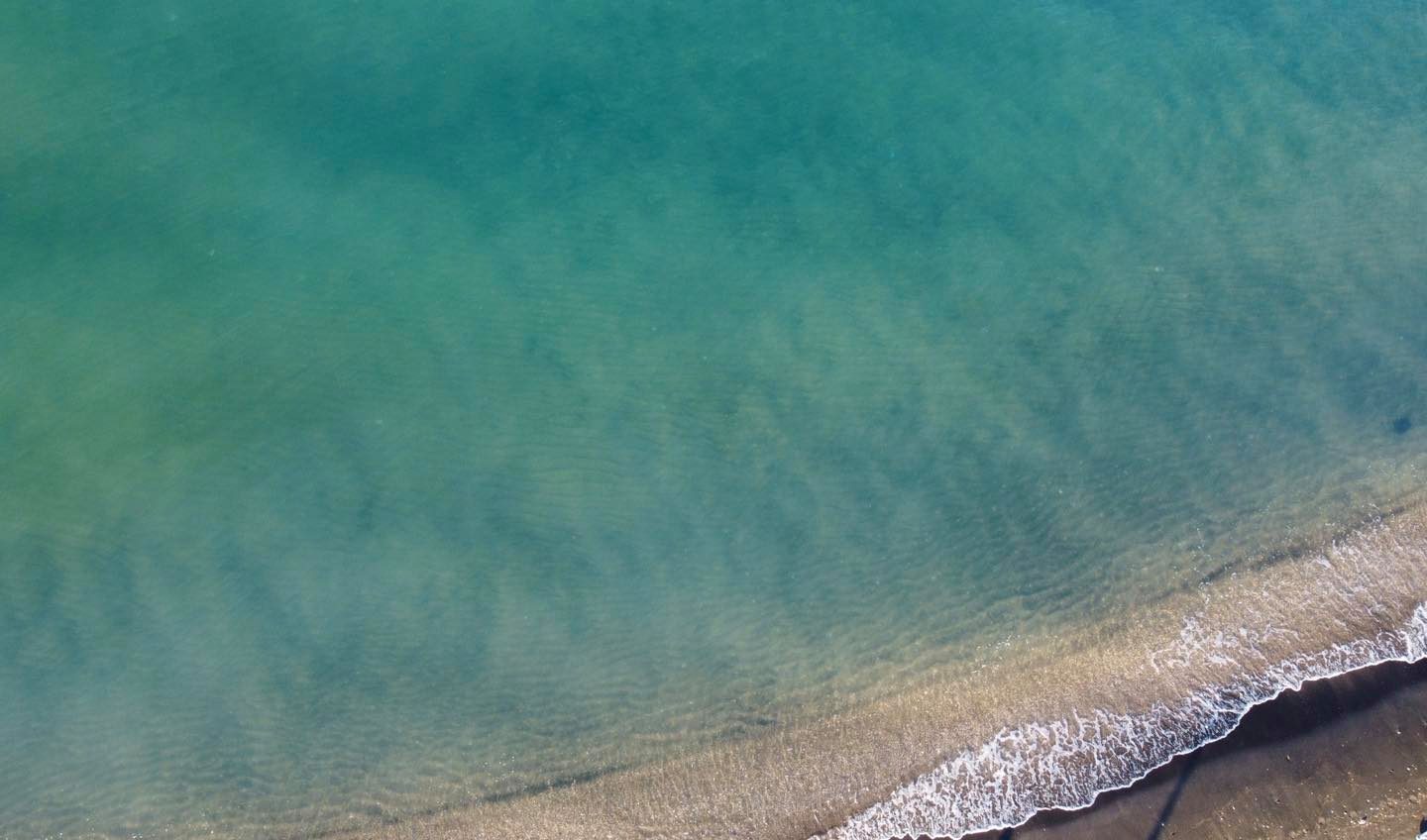 Il mare di Ostia  in salute